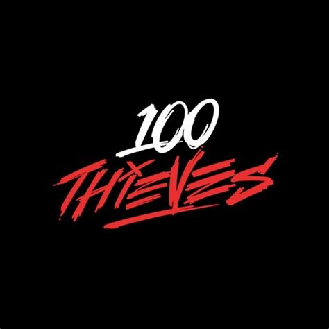 100 thieves music video.